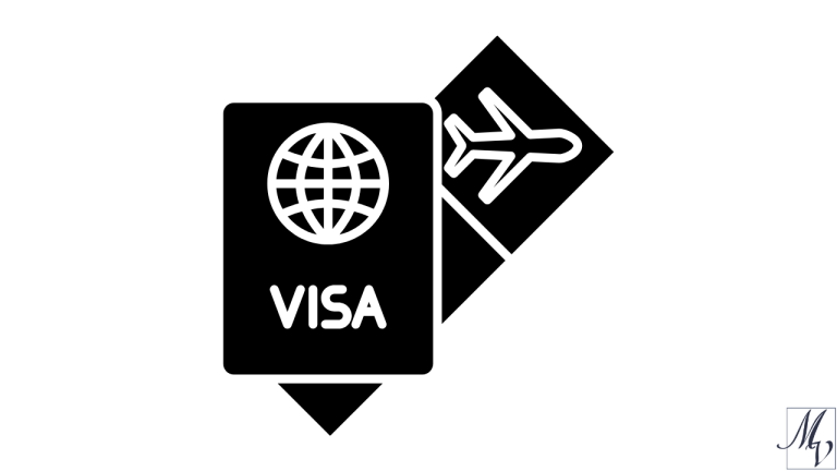 black and white passport with text visa